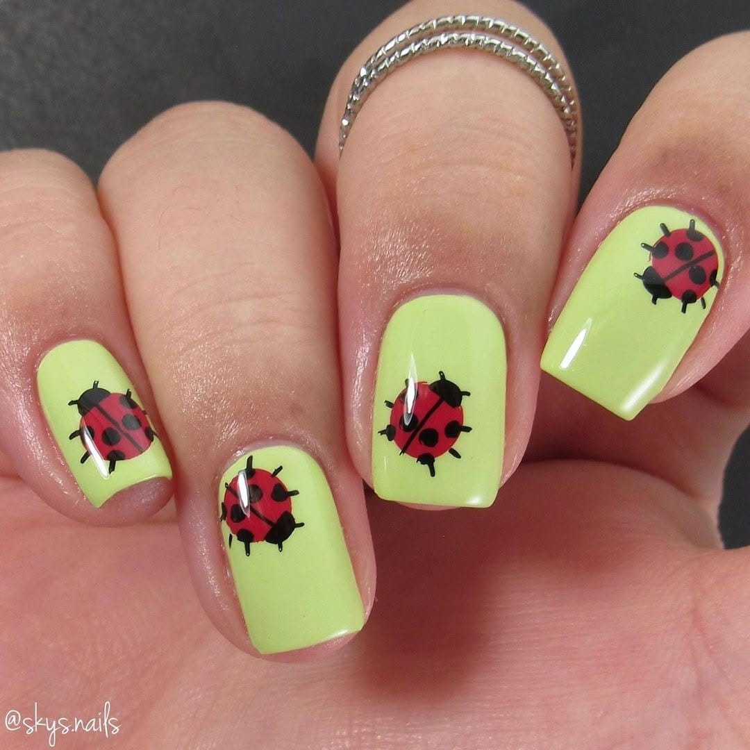 Ladybug nail art on green background