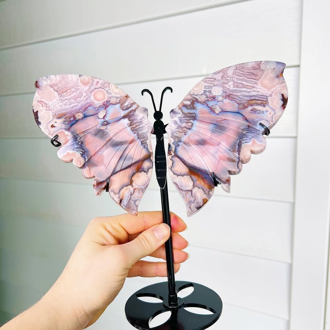 Butterfly wing patterns in pastel tones