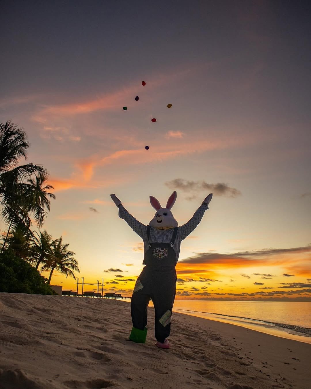 Sunset gradient with bunny silhouettes