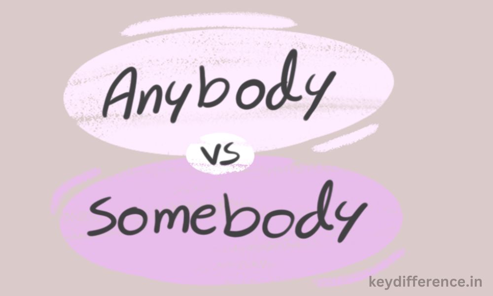 Difference Between Anybody and Somebody