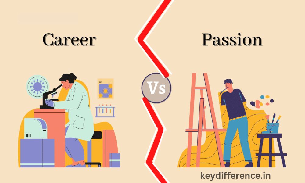 Best 5 Difference Between Career and Profession