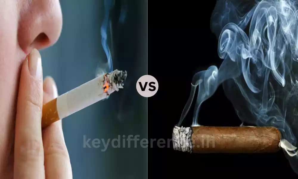 Top 8 Difference Between Cigar and Cigarette
