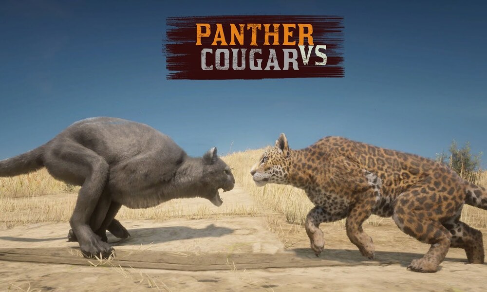 Cougar and Panther