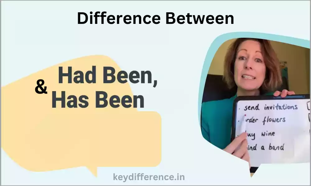 Difference Between Has Been and Had Been