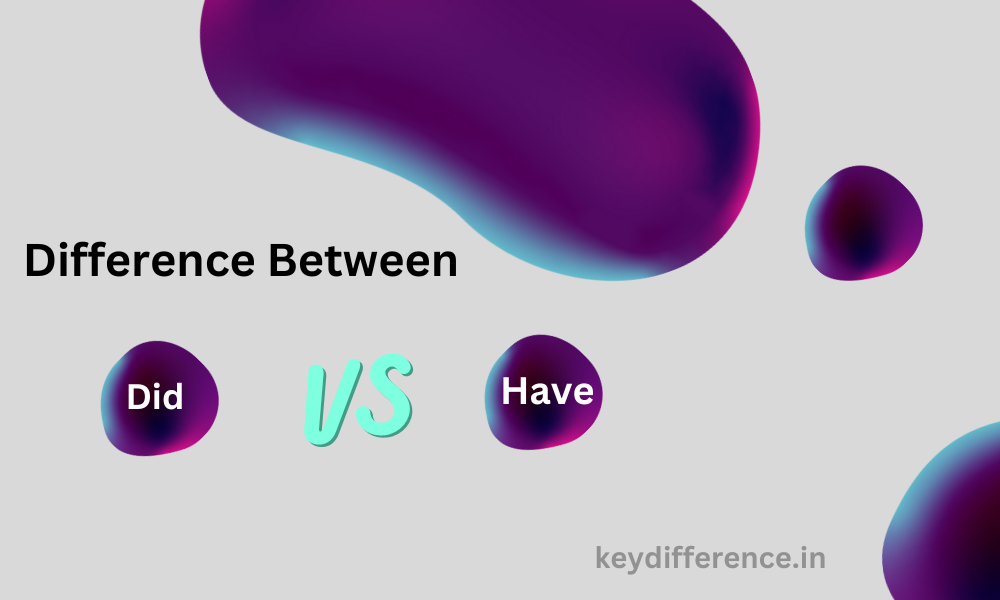 Difference Between Have and Did