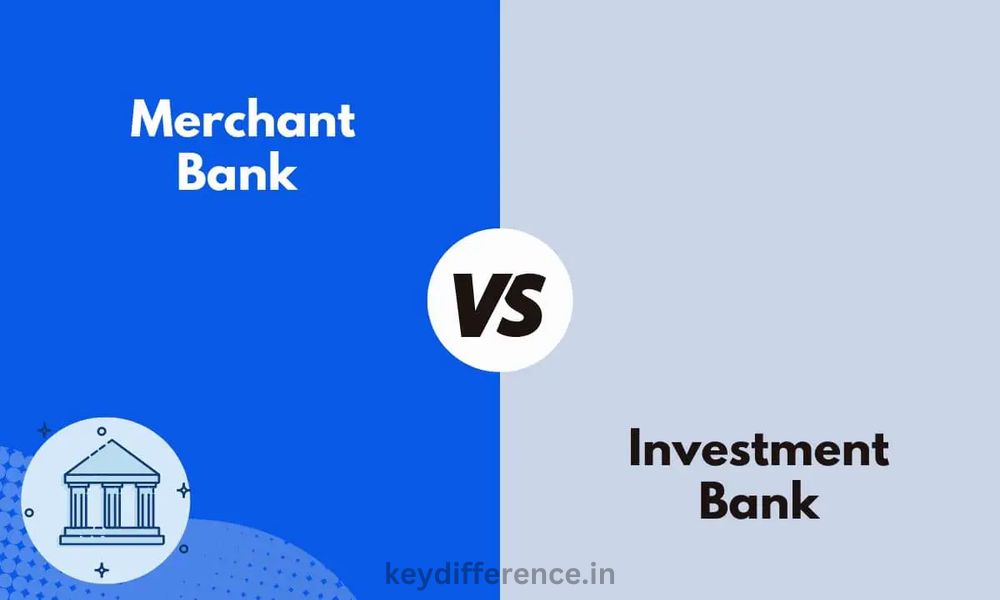 Investment and Merchant Banking