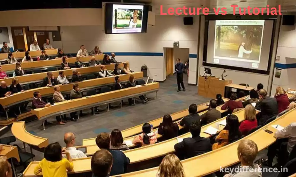 The Best 4 Difference Between Lecture and Tutorial