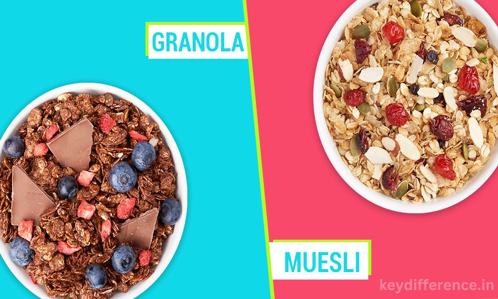 Difference Between Muesli and Granola