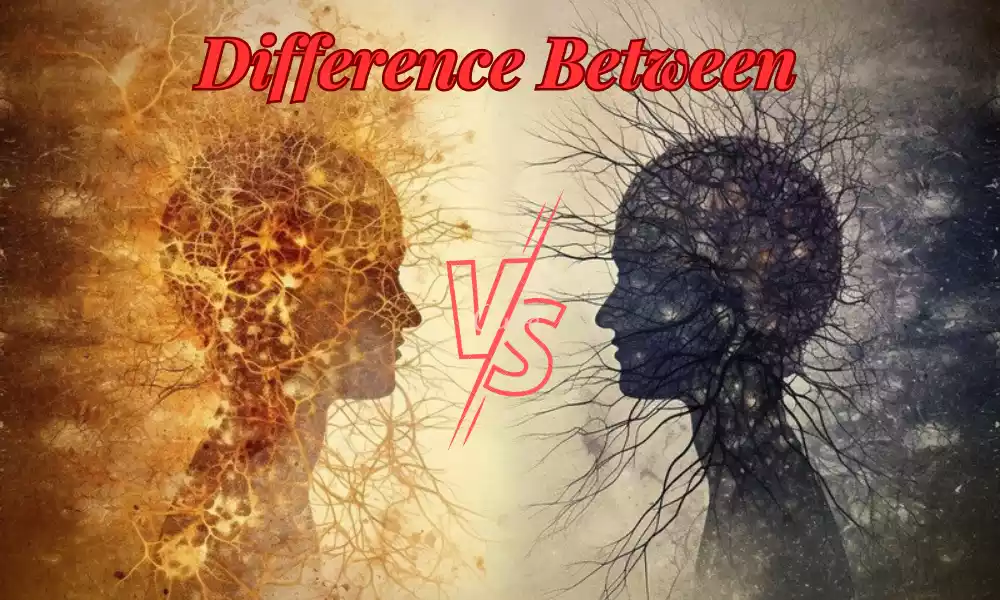 Difference Between Schizophrenia and Bipolar