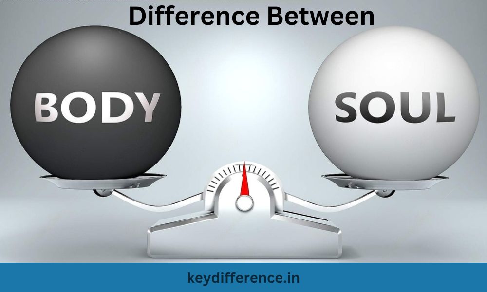Difference Between Soul and Body
