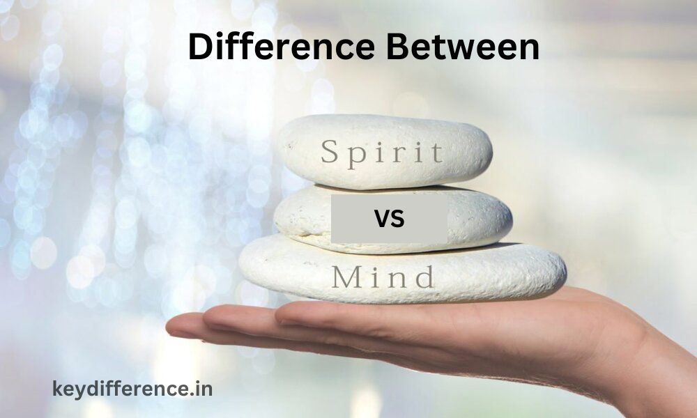 Spirit and Mind 15 Best Difference