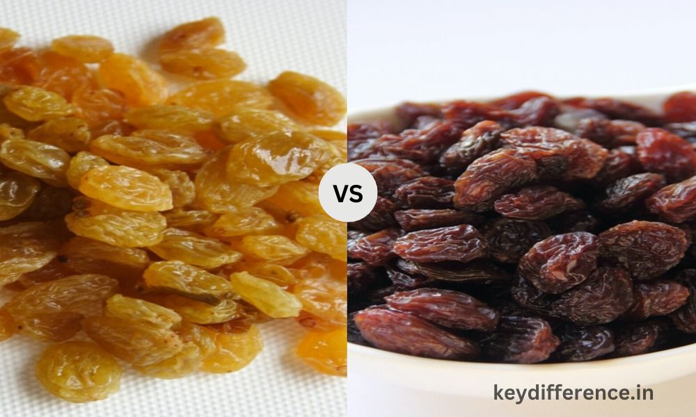 Difference Between Sultanas and Currants