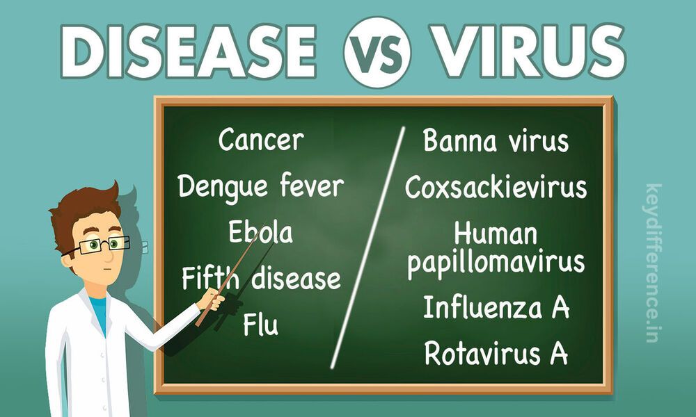 Difference Between Virus and Disease