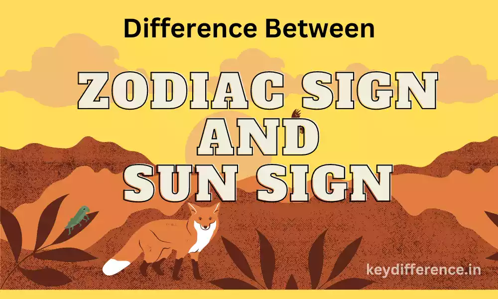 Zodiac Sign and Sun Sign