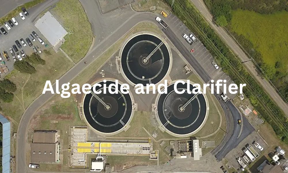 Difference Between Algaecide and Clarifier