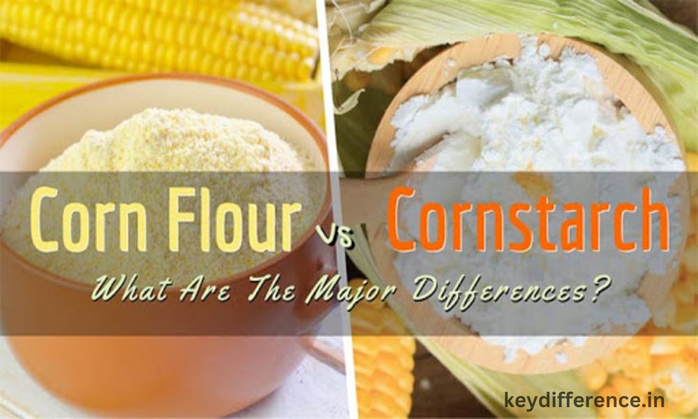 Difference Between Cornstarch and Corn Flour