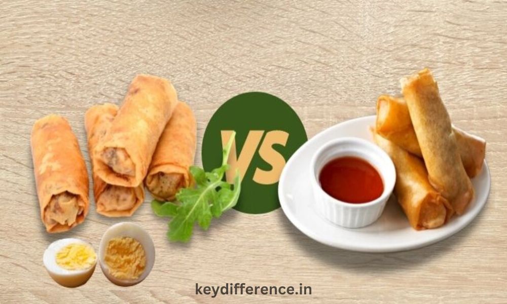 Egg Roll and Spring Roll