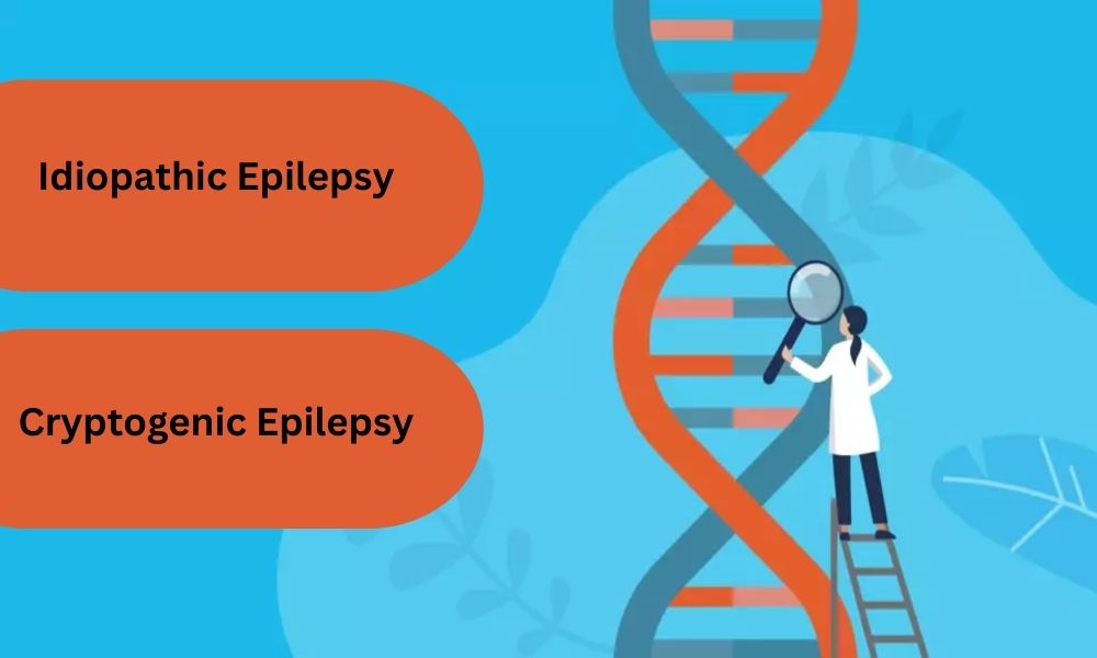 Best 10 Difference Between Idiopathic and Cryptogenic Epilepsy