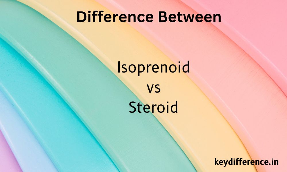 Difference Between Isoprenoid and Steroid