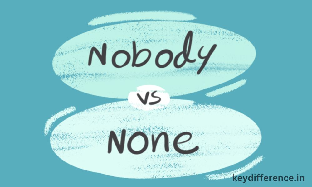 Difference Between None and Nobody