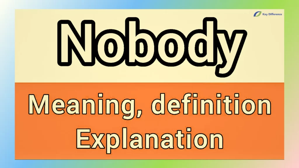 nobody-definition