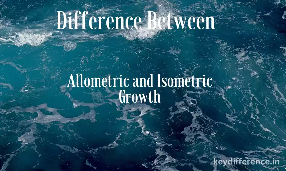 Allometric and Isometric Growth