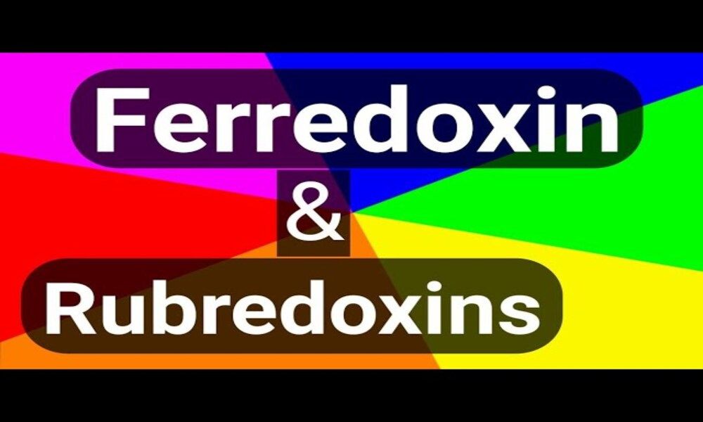 Difference Between Ferredoxin and Rubredoxin