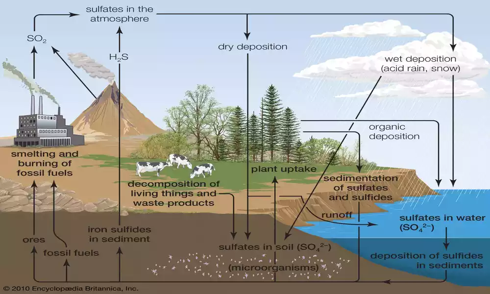 Gaseous Biogeochemical Cycle
