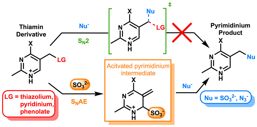 Substitution pattern and stereochemistry of the products