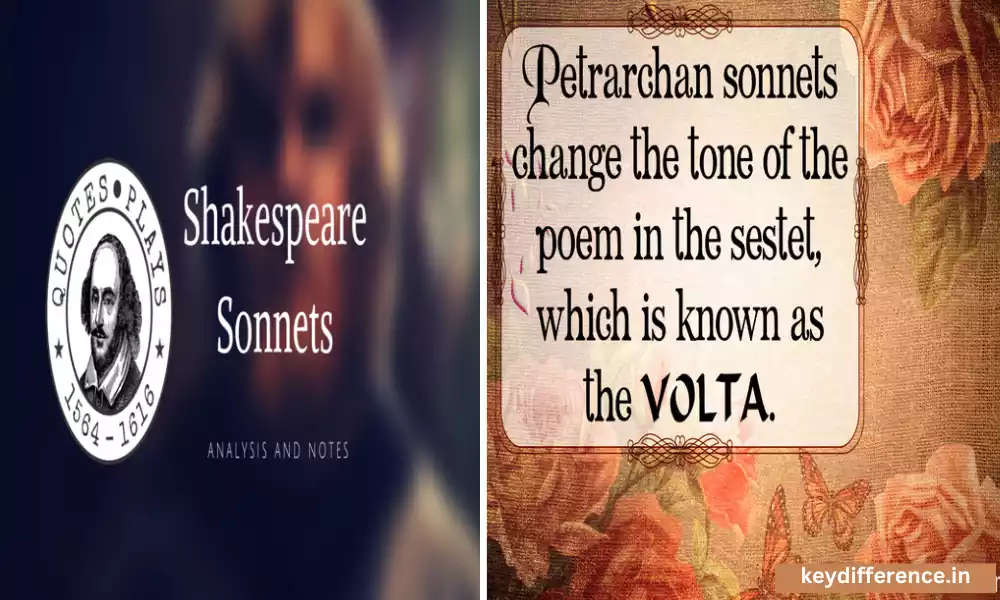 Best 4 Difference Between Shakespearean and Petrarchan Sonnet
