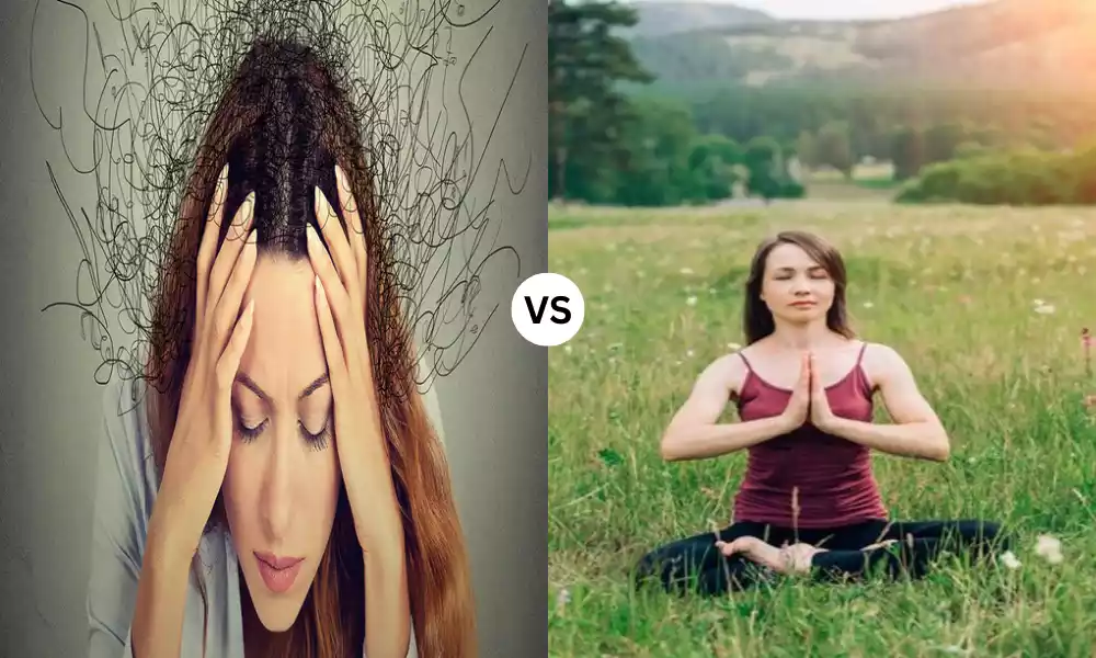 Best 9 Difference Between Mindfulness and Meditation