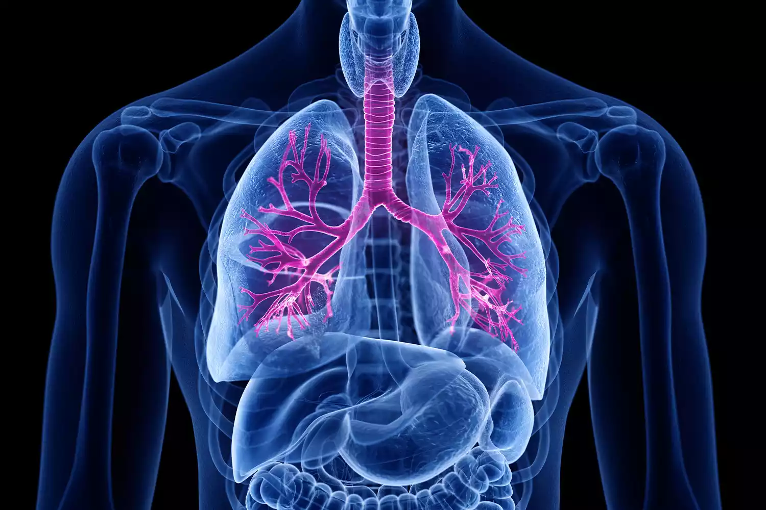 Obstructive Pulmonary Disease