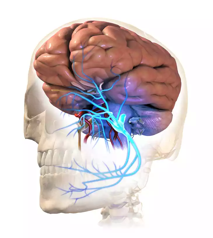 Atypical Trigeminal Neuralgia