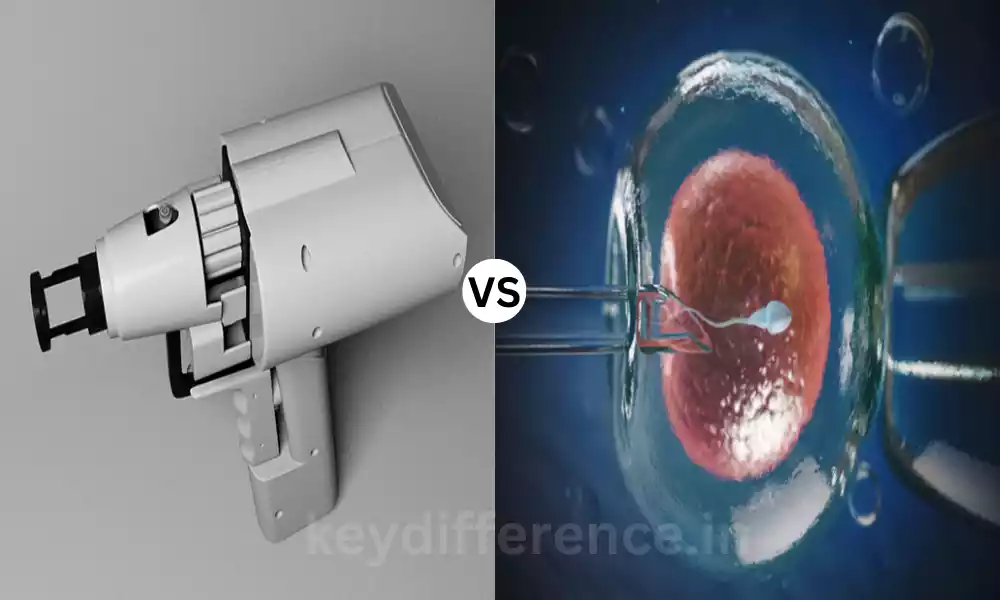 Difference Between Biolistic and Microinjection