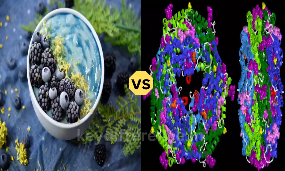 Difference Between Phycocyanin and Phycoerythrin