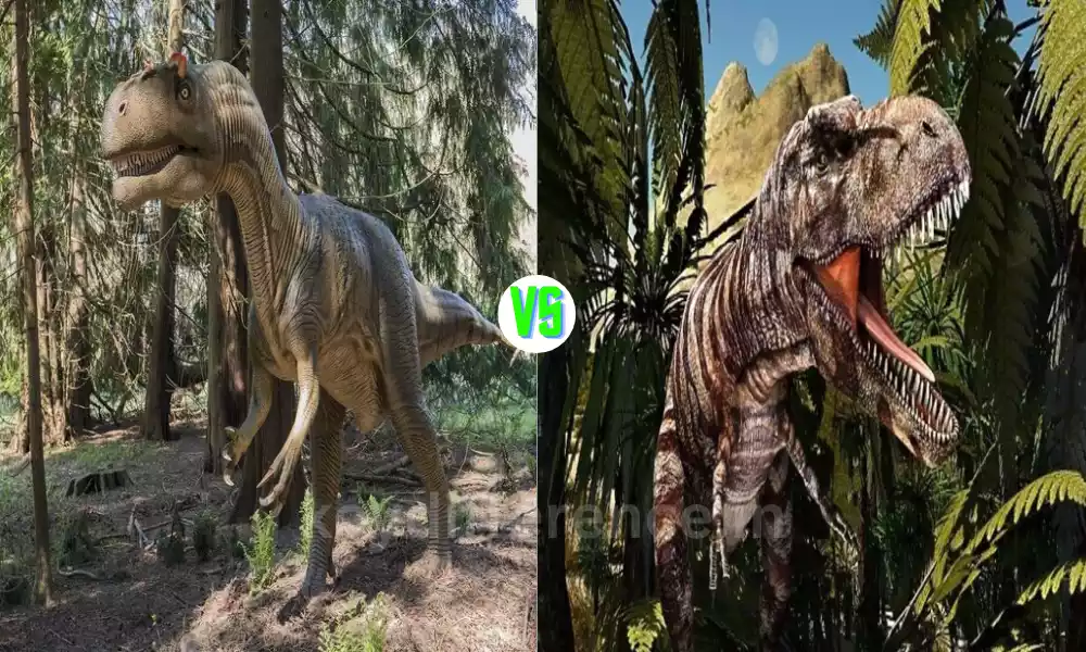 Allosaurus and Tyrannosaurus