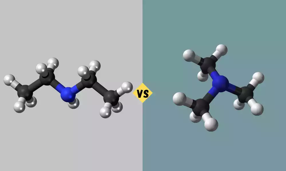 Difference Between Dimethylamine and Trimethylamine