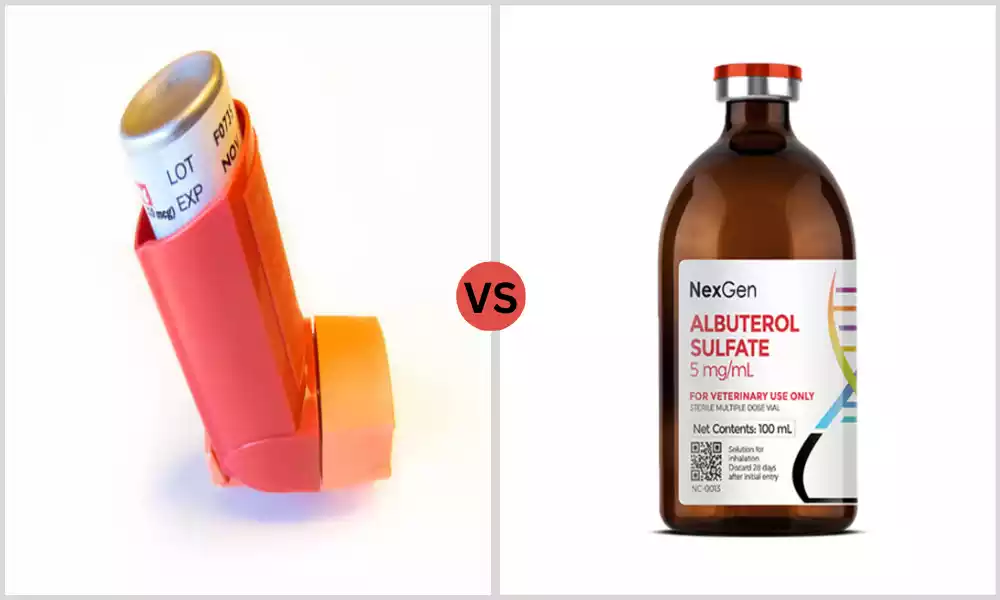 Difference Between Flovent and Albuterol