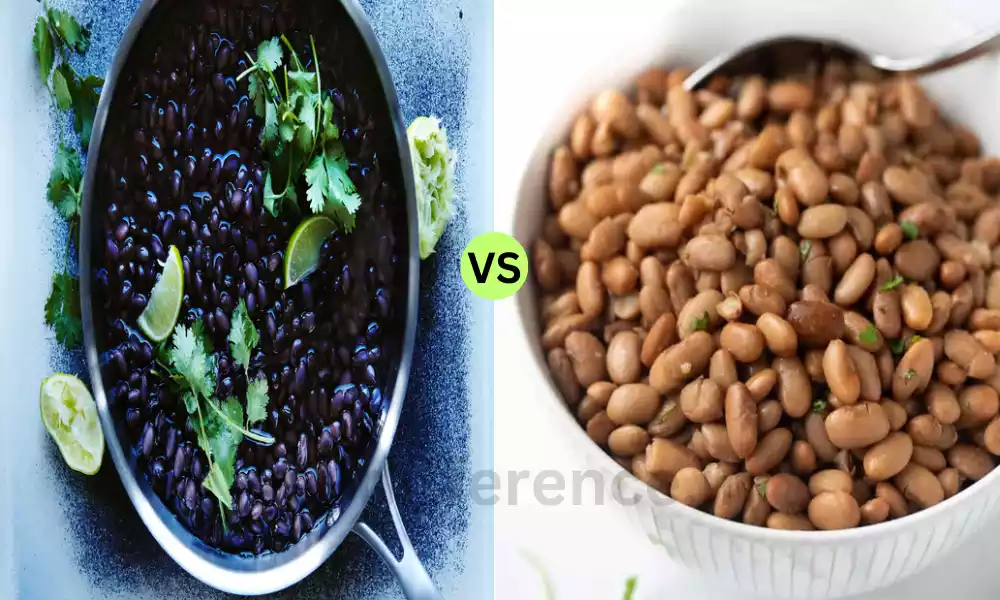 Difference Between Black Beans and Pinto Beans