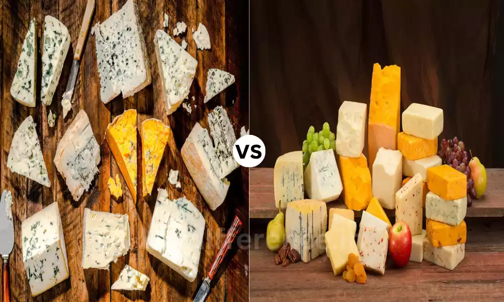 Difference Between Bleu Cheese and Gorgonzola