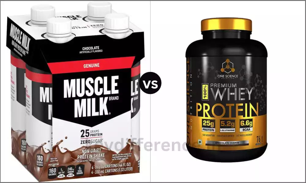 Difference Between Muscle Milk and Whey Protein