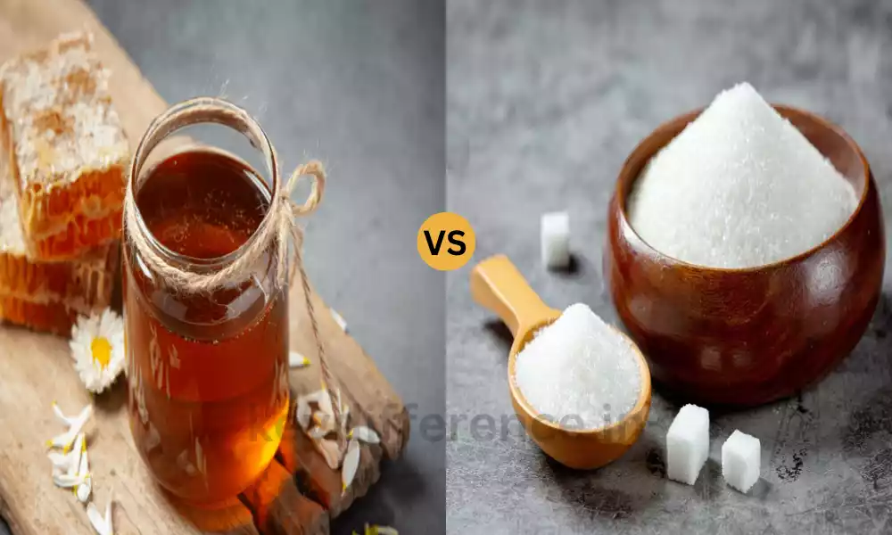 Difference Between Honey and Sugar